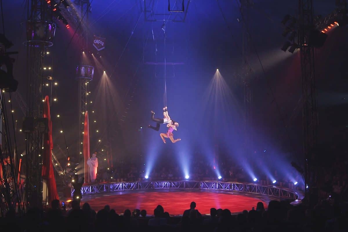 Circus Video Production